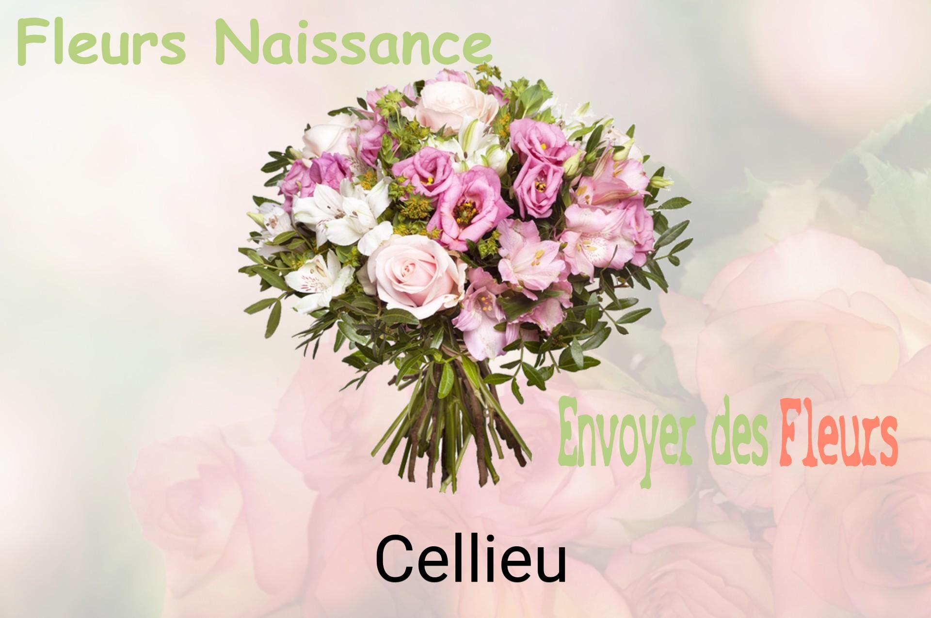 Bouquet de fleurs de naissance livré à Cellieu